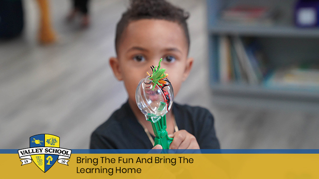 Bring The Fun And Bring The Learning Home
