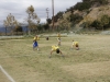 _MG_5613-w800-h600
